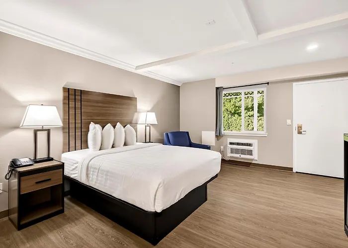 Pet Friendly hotel: Northern Queen Inn